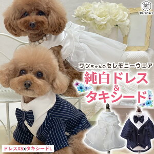 ybg  ^LV[h hX ^LV[h tH[}Zbg EFfBO hX  p[eB ybg  ^ tďH~ XS`L zCg Zj[EFA tH[}EFA/yb