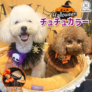  nEB L nEB X^C ܂ 19`28cm  L ybg  ȒP ^  킢 nEBp[eB SNS Be ڂ ΂ XJ /ybg nEB