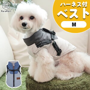 yxΏہz  t[X wJ ₷  ~  H~ ~p ^ ^ AE^[ Wp[ g h n[lXt t[Xn gCv[h _bNXz