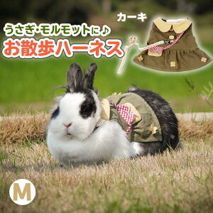  n[lX p bg ETM qL U [h x[W J[L /bgn[lX