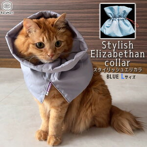 GUxXJ[ L  \tg GJ X^CbV GUxXJ[ O _炩 y   L Dp p ̕ی rߖh~ XgXy  킢 M L O