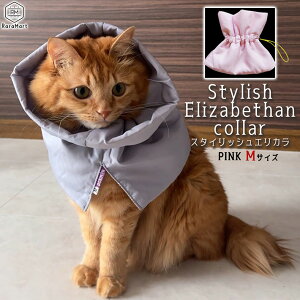 yxΏہzGUxXJ[ L  \tg GJ X^CbV _炩 y   L Dp p ̕ی rߖh~ XgXy GUxX J[  킢