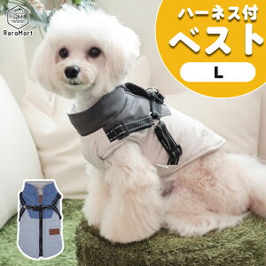   t[X wJ ₷  ~  H~ ~p ^ ^ AE^[ Wp[ g h n[lXt t[Xn gCv[h _bNX zCg u[/n