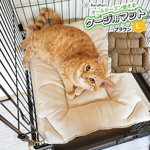 yxΏہz L P[W }bg ybgxbh 60cm 70cm lRt t  H ~ L }bg 킢 P[Wp }bg Rt 􂦂 xbh I[V[Y  ӂӂ ӂӂ 