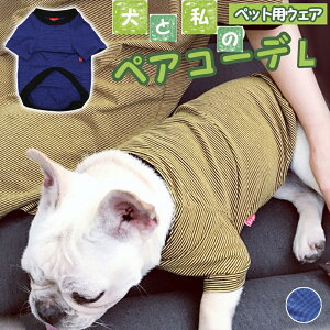   ybgƂI ybg yAbN  TVc O yybgpz CG[ u[ bh S M L XL/ybgyAOyBzybgp