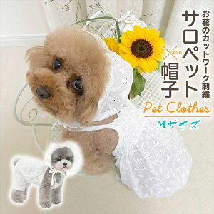 �_P5�{ 26��1:59�܂Ł^ �y�b�g �� �� �L �ĕ� �T�}�[ �T���y�b�g �X�q�Z�b�g ���� ���킢�� ������� �y�b�g �E�F�A �����s�[�Y �t���� �J�o�[�I�[�� �K�[���[ �R�b�g�� �u���[ �z���C�g �C�G��