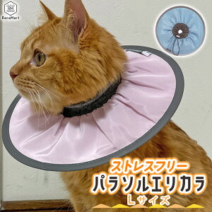 y10%OFF 111:59܂Łz GUxXJ[ L  \tg GJ XgXt[ _炩 y h[ic^ ԂĂɂȂ GJ L Dp p ̕ی rߖh~ XgXy 