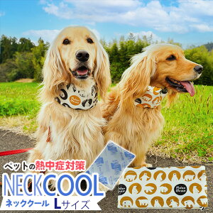  N[ lbN ^ lbNN[[ ^I o_i ybgpi ^ ^ U MǑ΍ ObY {ۗܕt  Rbg hz    L 킢 zCg C