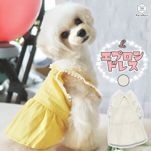   s[X t t   s[X ₷ ̕  Gv hX ybg hbOEFA ^ ` gCv[h CG[ x[W/ybg GvhX