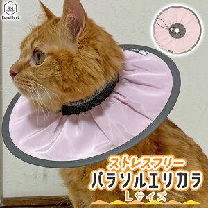 GUxXJ[ L  \tg GJ XgXt[ _炩 y h[ic^ ԂĂɂȂ GJ L Dp p ̕ی rߖh~ XgXy GUxX J[ 