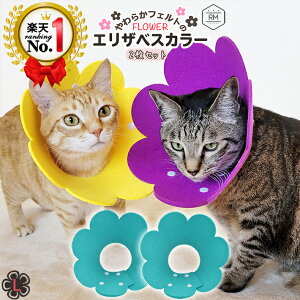 GUxXJ[ L \tg y2Zbgz GUxXJ[  _炩 tFg t[ GJ y ̕ی XgXy J[ S M L IW bh Cgu[ CG[ sN