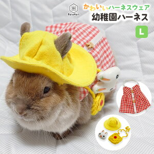 yxΏہzybg n[lX   ct n[lX RX`[ ۈ牀 s[X  L tďH~ ybgEFA u[ bhO[ U hbO EFA S`L obO Xq