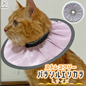 yxΏہzGUxXJ[ L  \tg GJ XgXt[ _炩 y h[ic^ ԂĂɂȂ GJ L Dp p ̕ی rߖh~ XgXy G