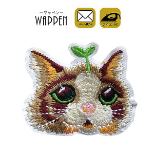 L by hJ ACڒ c6.5cm×5.5cm ˂ lR cat  ACby | 킢  w