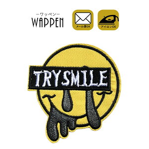 X}C by hJ ACڒ c6.5cm×6.2cm TRYSMILE smile jR ɂ | lC ACby 킢 ؂ AbvP Ղ肯 wappen }XNpTCY