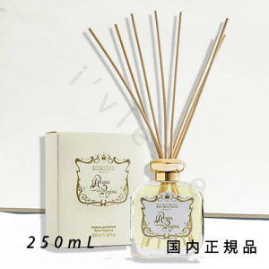 i10܂ł̂jixƓjKi@T^E}AEmFbiSanta Maria NovellajfBt[U[@AbNAEfbEW[i 250mL^ԁF3Jỉ