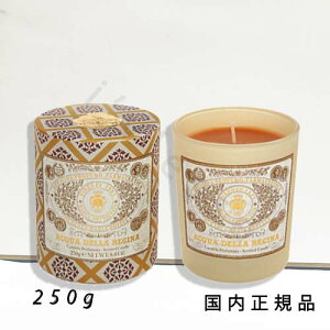 i10܂ł̂jixƓjKi@T^E}AEmFbiSanta Maria NovellajOXLh@ANA@fb@W[i@250g^RĎԖ52ԁ^Lh