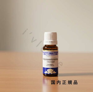 i10܂ł̂jixƓjKi@tVifrantsilajGbZVIC@NZ[W@10mL