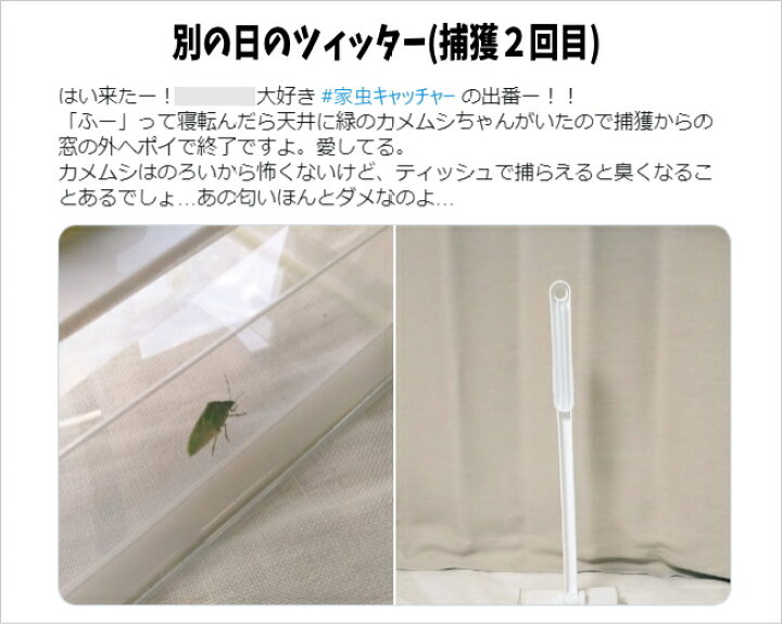 楽天市場】【家虫キャッチャー】虫を捕獲して≪逃がすこと≫も≪殺虫剤≫も両方使える!ゴキブリ,蜘蛛,ムカデ,ガ,ハチ,カメムシ,害虫他どんな虫に も使える最強の虫対策!捕虫器、捕獲器 : レアリティショップ 楽天市場店 楽天市場】【家虫キャッチャー】虫を捕獲して≪逃がすこと≫も≪殺虫剤≫も両方使える!ゴキブリ,蜘蛛,ムカデ,ガ,ハチ,カメムシ,害虫他どんな虫に も使える最強の虫対策!捕虫器、捕獲器 : レアリティショップ 楽天市場店