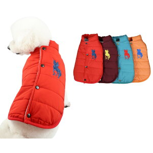 WWEVA ZIZILECHI wJ@hJ_E@WPbg H~f m  ̕/ybgߗ