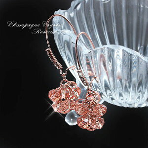 zCgf[ zCgf[ Ԃ [YJbg̃t[vsAX fB[X NX^/p[eB[/񎟉/I/ w   p[eB[/  uC_ E