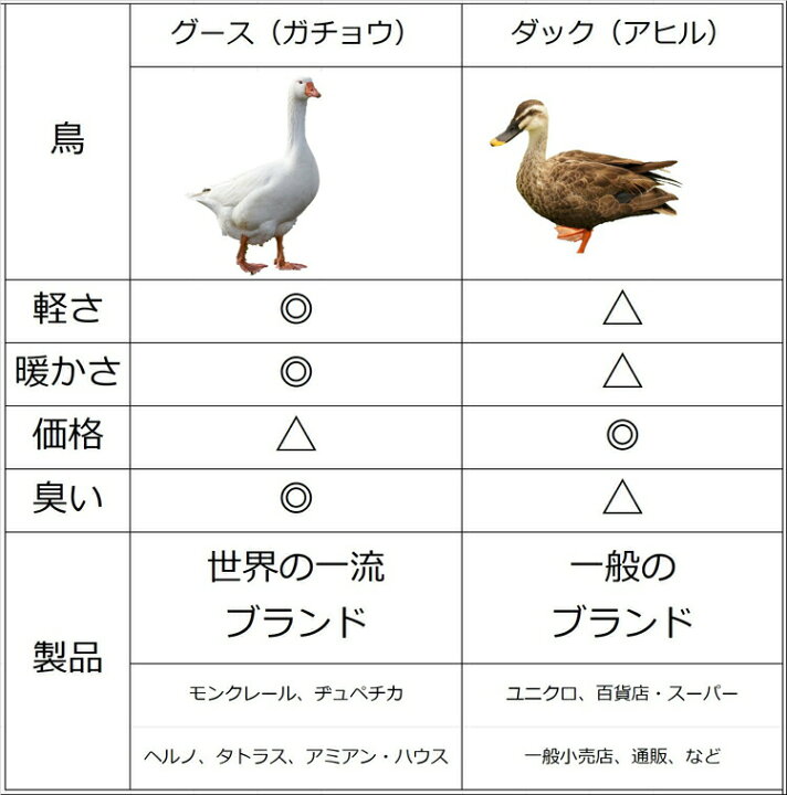 楽天市場】アミアンハウス 超ロング ダウンコート レディース ベルト付 