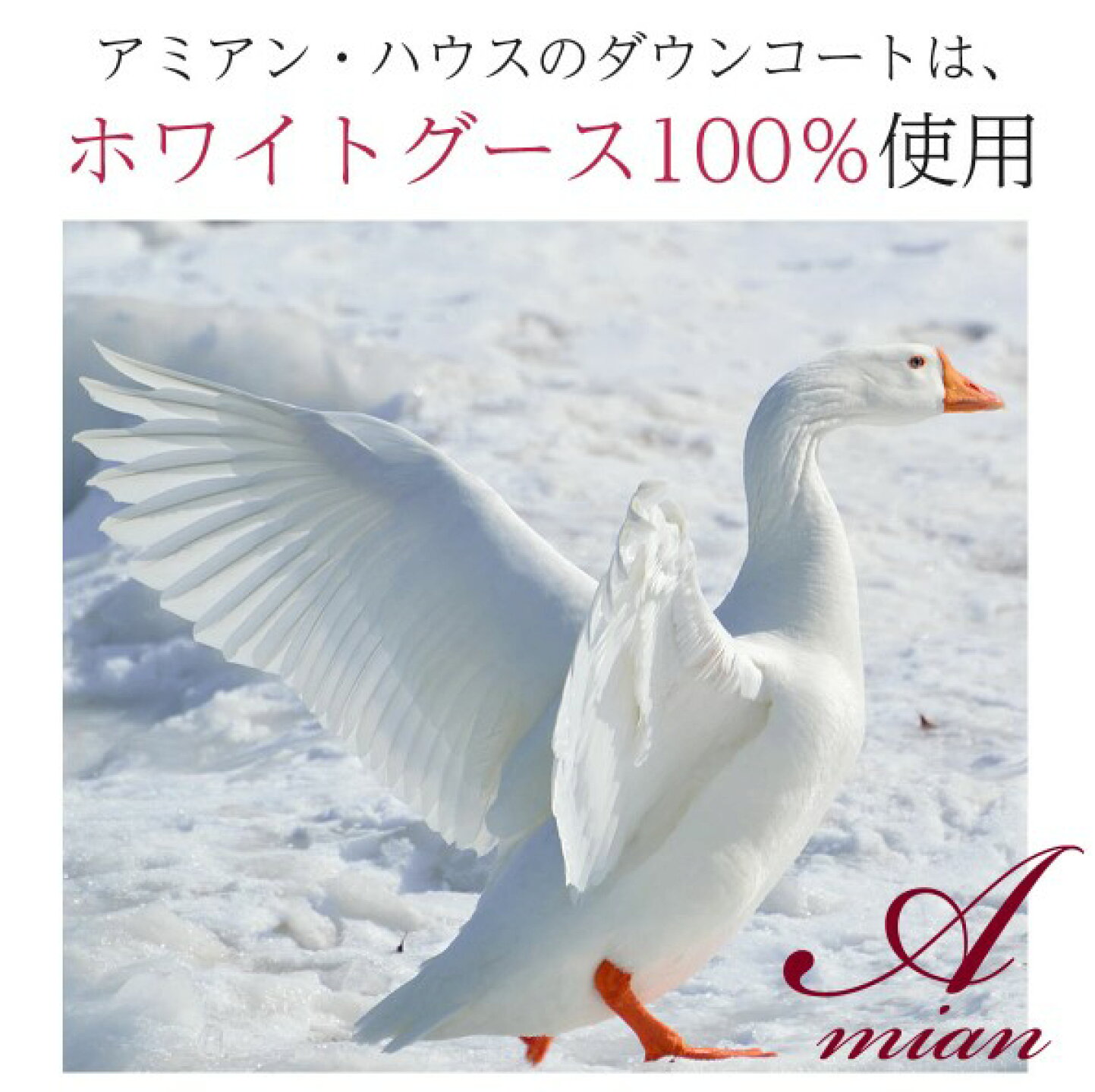 楽天市場 | アミアンハウス - ◎ 素材（グースとダック）で選ぶ