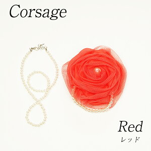 y킹piz̔菤i A p[tRT[W p[lbNXt bh  F w Ǝ  tH[}   Ă΂ p[eB[ uC_ 