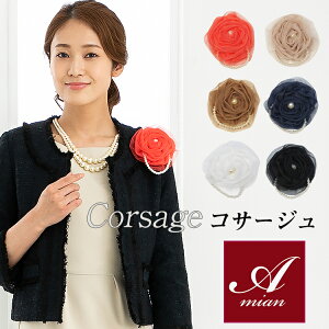 y p 1000~ |bLizp[tRT[W p[lbNXt ܎O  Ǝ w   tH[} JA   Ă΂ p[eB[ uC_