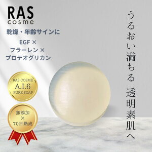 �ь�����E�����݁E�����ݑ΍� ���΂��� 100g�b�Z���A�E���ێ��E�q����OK�b���Ό����� �Ō`�^�C�v ���{���bRAS A.I.6 �s���A�\�[�v