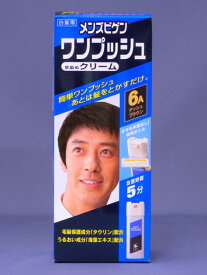 メンズビゲン ワンプッシュ 6A アッシュブラウン[ヘアカラー 男性用]