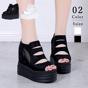 y15%OFFN[|zT_ fB[X T}[u[c 12cmq[  EGbW\[ p  V[Y q[ ᔽ ₷ nCq[ [XAbv fB[X tbg