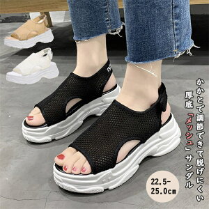 y15%OFFN[|zX|[cT_ fB[X  T_ bV fB[X y ʋC r EH[LOV[Y r[`T_ wlC Vv JWA ubN 