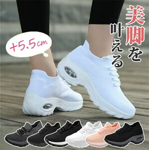 Xj[J[ fB[X V[Y EH[LOV[Y Y jp   C  CR y Xb|  L ʋ EH[LO ₷ W ₷ ɂ 