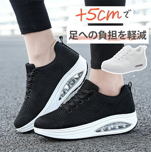 Xj[J[ fB[X D^i[XV[Y Xb| ^C y D^ d Ȃ C H~  ʊw אg 5cm ꂢ  ₷  _CGbgXj[J[ 