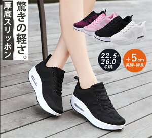 y15%OFFN[|zXj[J[ fB[X D^i[XV[Y Xb| ^C y D^ d Ȃ C H~  ʊw אg 5cm ꂢ  ₷  _