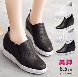 y15%OFFN[|zXb| fB[X Xj[J[ Cq[ 2type RȂXj[J[ JWA v`v Ȃ    傫TCY TCY [Jbg ₷