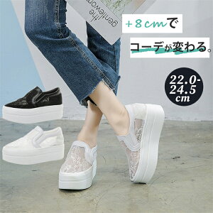 Xb|  Xj[J[ Xj[J[ fB[X C\[Xj[J[ IVXj[J[ C H  ʊw nCJbg ₷ ꂢ  8cm [X y V[NbgV