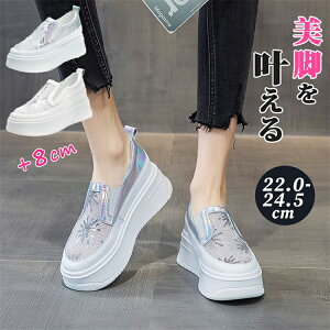 y15%OFFN[|zXb| fB[X Xj[J[ Xj[J[  C\[ ₷ ꂢ  8cm y V[NbgV[Y C RȂXj[J[ JWA