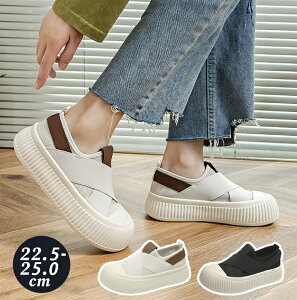 y15%OFFN[|zXb| Xj[J[ fB[X  5cm UP Xj[J[ RȂ EH[LO V[Y r y SohXj[J[  r ~ ʋC ʋ ʊw