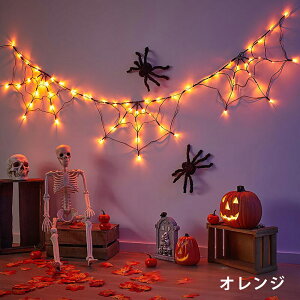 nEB  C~l[V LED _ ZT[ N̑ N Cg  DIY O K[fCg    EbhfbL tFX p[eB[ Lv fR[V 