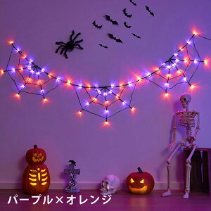 nEB  C~l[V LED _ ZT[ N̑ N Cg  DIY O K[fCg    EbhfbL tFX p[eB[ Lv fR[V 