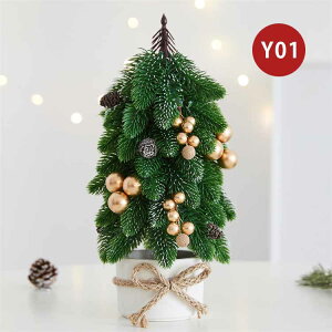 NX}Xc[ I[ig 28cm ~jNX}Xc[ e[uc[ NX}X[X   k  킢 i` ~jc[  NX}X  