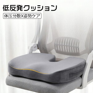 y15%OFFN[|z֎q NbV zc S啝Ɍy ᔽNbV `FANbV lԍHw Lw p NbV `FApbh ՃT|[g  ItBX fXN