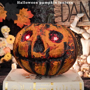 nEB   ^ LED Cg ڂ  fR[V halloween  O dr ԋۏؕt yo O   