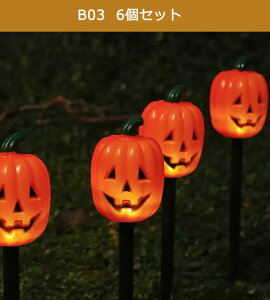 y15%OFFN[|zڂ჉Cg K[fCg nEB[ \[[Cg 5 in 1 nEB XgOCg nEB v ߍݎ O h _  