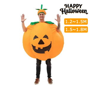 nEB l` J{`   ߑ c nEBp[eB[  C[U ϑ  ߑZbg dr