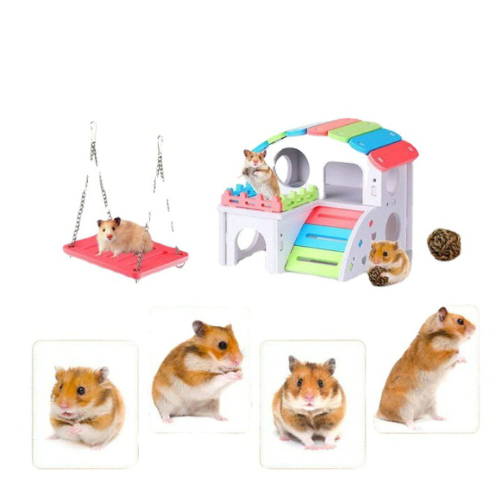 楽天市場】5点セット ハムスター ハウス ハムスター ケージ 小動物用 