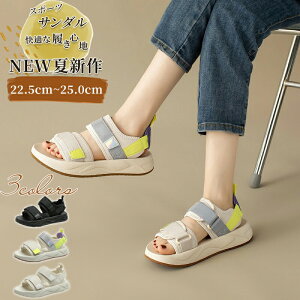 X|[cT_ fB[X  r[`T_  킢 C Ȃ L r h ₷ ItBX Xj[J[ T_ ₷