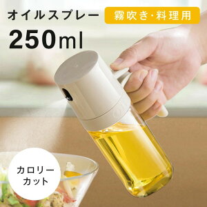 ICXv[ ϔMKX   IC{g 250ml ɍׂ̃~Xg |bg p   Xv[ KX Hp Rh~ Lb`p tꂵȂ Lv  l